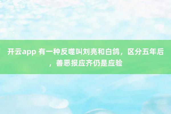 开云app 有一种反噬叫刘亮和白鸽，区分五年后，善恶报应齐仍是应验