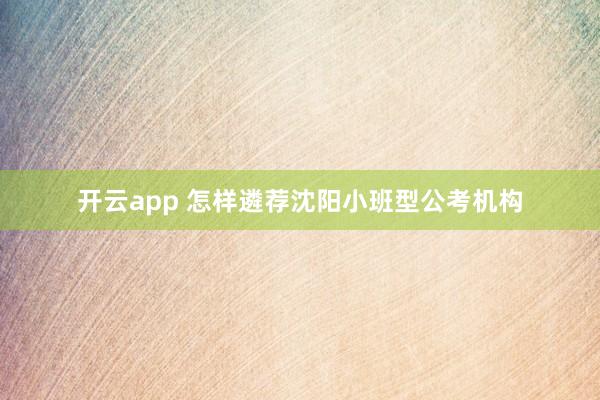 开云app 怎样遴荐沈阳小班型公考机构